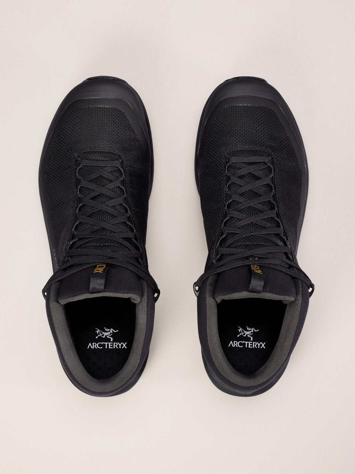 Aerios FL 2 Mid GTX Shoe Men's