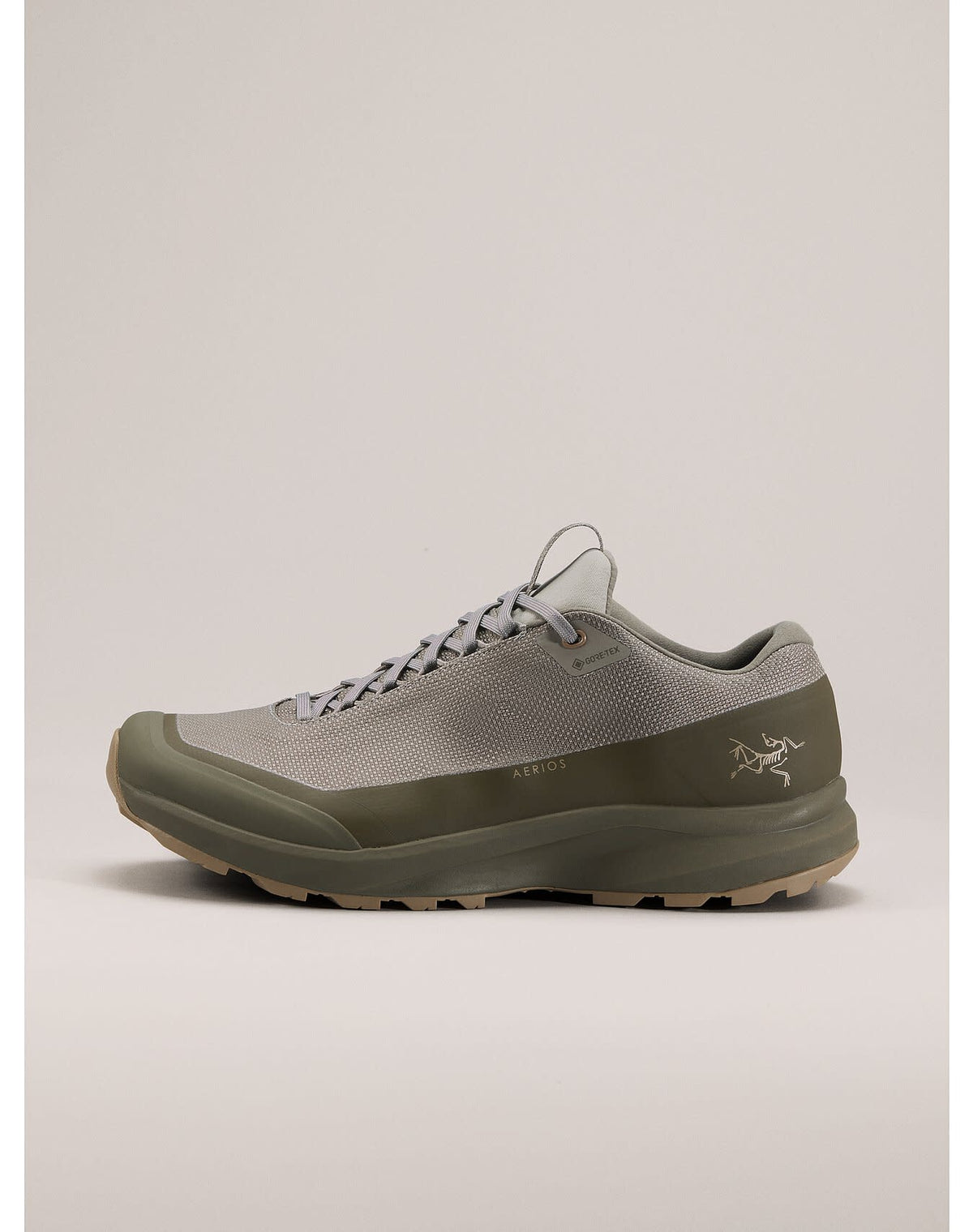 Aerios FL 2 GTX Shoe Men's