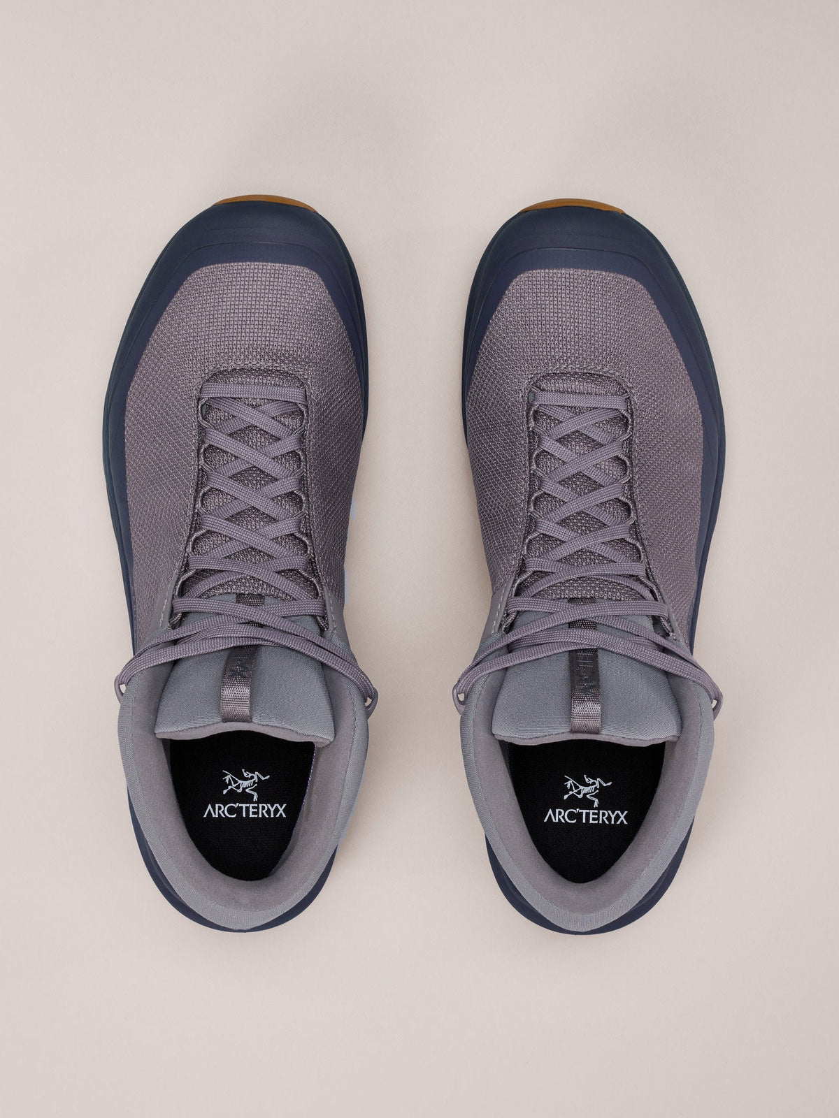 Aerios FL 2 Mid GTX Shoe Men's